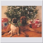 Kenoa and Clint'sMason-dec06.jpg