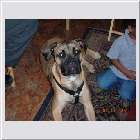 Kenoa and Clint's Mia2-07.jpg