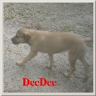 DSCN1204.JPG