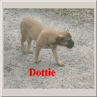 DSCN1205.JPG