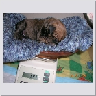 DSCN2260.JPG