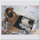 DSCN2283.JPG