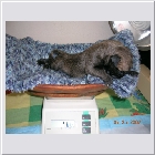 DSCN2318.JPG