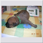 DSCN2429.JPG