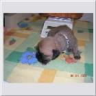 DSCN2473.JPG