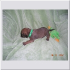 DSCN2546.JPG