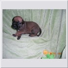 DSCN2613.JPG
