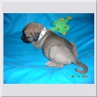 DSCN2906.JPG