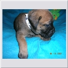 DSCN2927.JPG