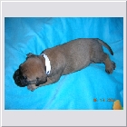 DSCN2938.JPG