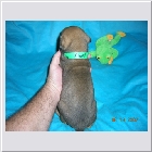 DSCN2940.JPG