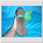 DSCN2961.JPG