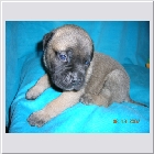 DSCN2970.JPG