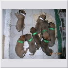 DSCN2982.JPG