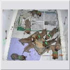 DSCN3085.JPG