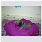 DSCN3280.JPG