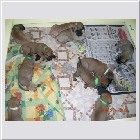 DSCN3432.JPG