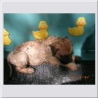 DSCN4182.JPG