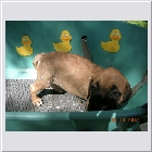 DSCN4197.JPG