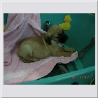 DSCN4212.JPG