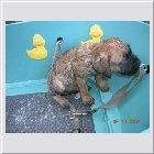 DSCN4216.JPG