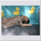 DSCN4228.JPG
