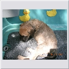 DSCN4229.JPG