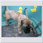DSCN4245.JPG