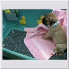 DSCN4271.JPG