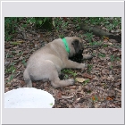 DSCN4392.JPG