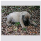 DSCN4394.JPG