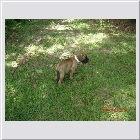 DSCN4533.JPG