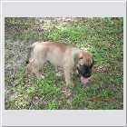 DSCN4554.JPG