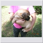 DSCN4605.jpg