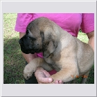DSCN4618.JPG