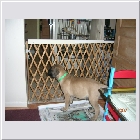 DSCN4689.JPG