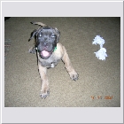 DSCN4729.JPG