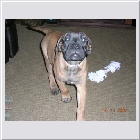 DSCN4751.JPG