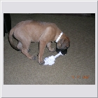 DSCN4760.JPG
