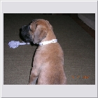 DSCN4764.JPG