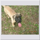 DSCN4808.JPG