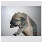 DSCN5048.jpg