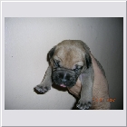 DSCN5061.jpg