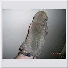 DSCN5140.JPG