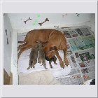 DSCN5149.JPG