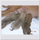 DSCN5152.JPG