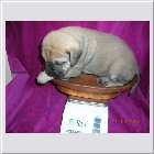 DSCN5226.JPG