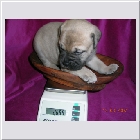 DSCN5256.JPG