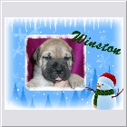 DSCN5260.JPG