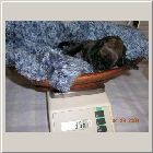 DSCN6137.JPG